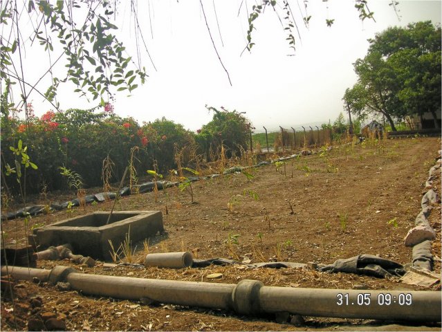 Ecology conservation programme in Nhava through the Marine Museum